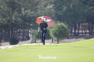 Nguyễn Viết Tuấn Anh