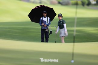 Tạ Thị Dinh