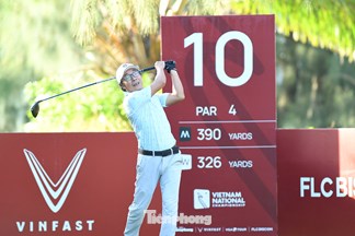 Phan Anh Tú 