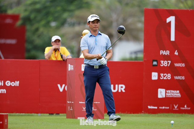 Nguyễn Gia Hồng 