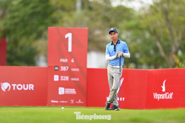 Dương Minh Hải