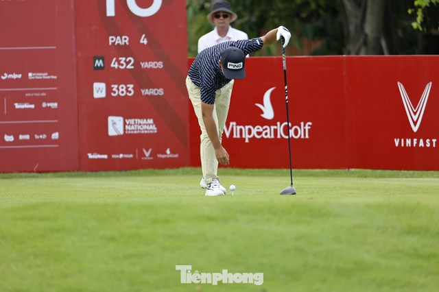 Nguyễn Anh Minh