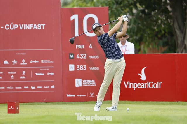 Nguyễn Anh Minh