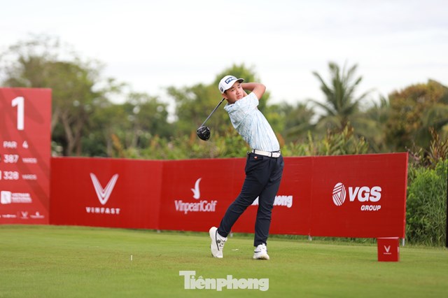 Nguyễn Anh Minh