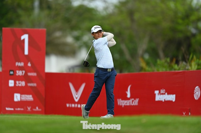 Nguyễn Gia Hồng 