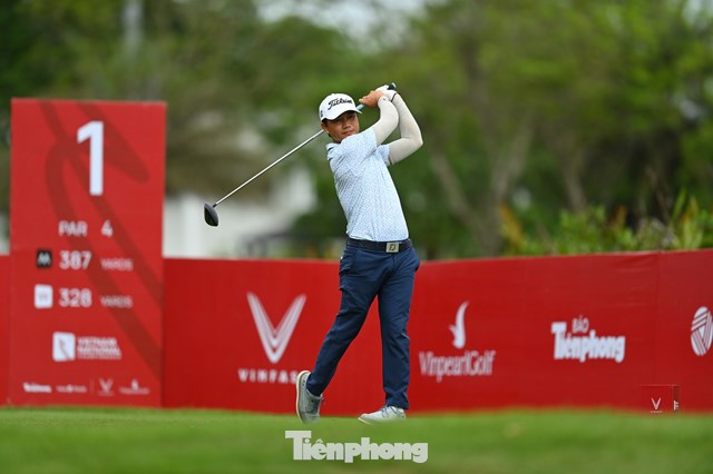Nguyễn Gia Hồng 