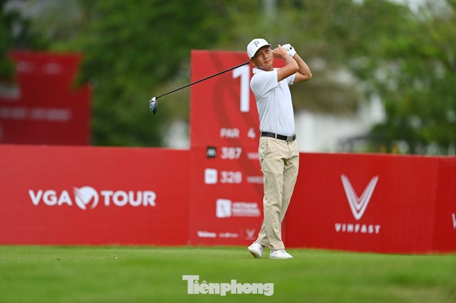 Vũ Anh Nguyện 