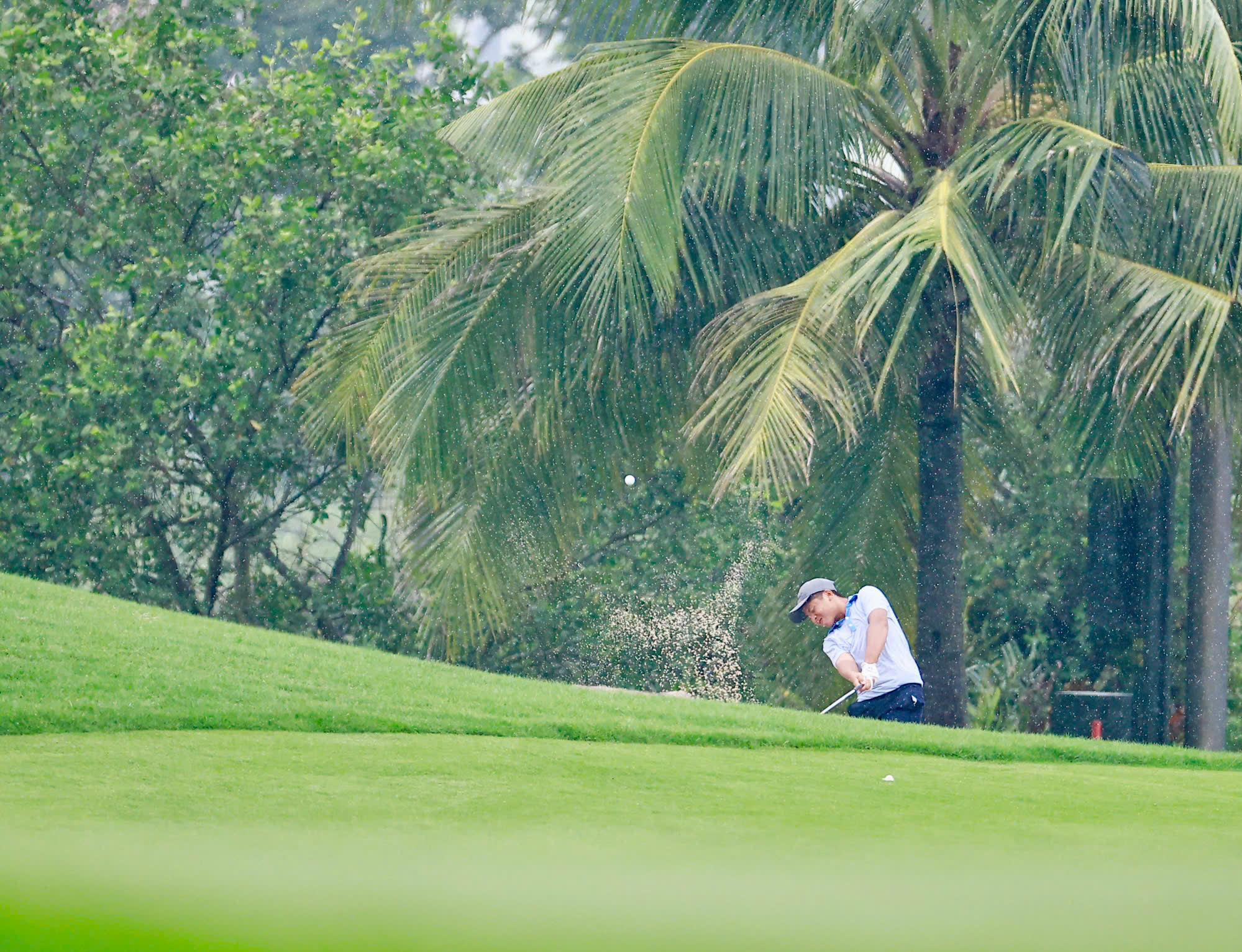 Chuyên trang Golf - Báo điện tử Tiền Phong