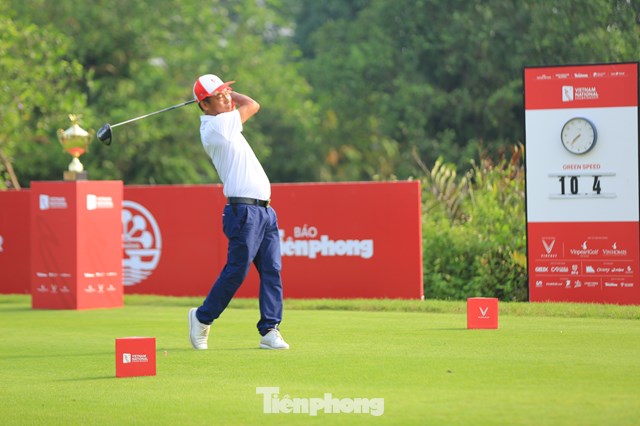 Trần Lưu Sơn
