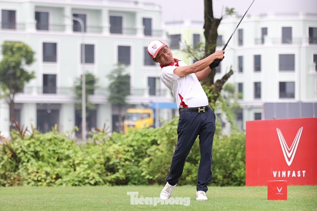 Trần Lưu Sơn