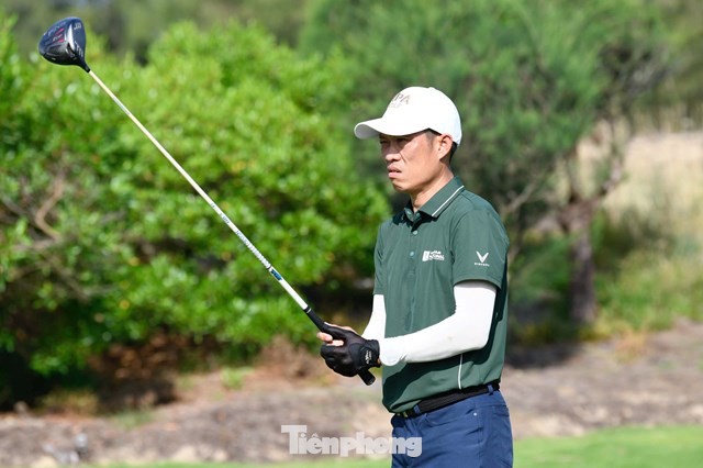 Hồ Anh Hoàng