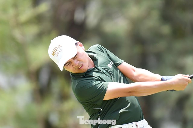 Hồ Anh Hoàng