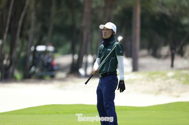 Hồ Anh Hoàng