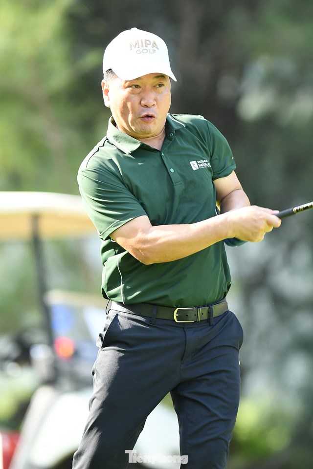 Nguyễn Hoàng Linh