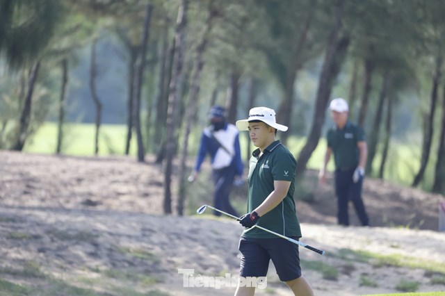 Nguyễn Hoàng Linh