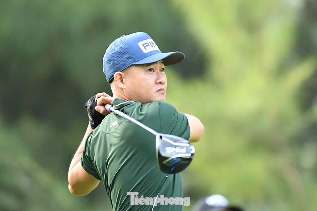 Nguyễn Lê Hồ Tân Ảnh