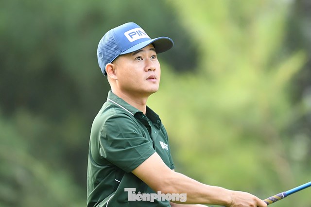 Nguyễn Lê Hồ Tân Ảnh