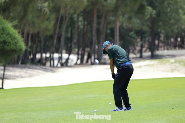 Nguyễn Quang Đông
