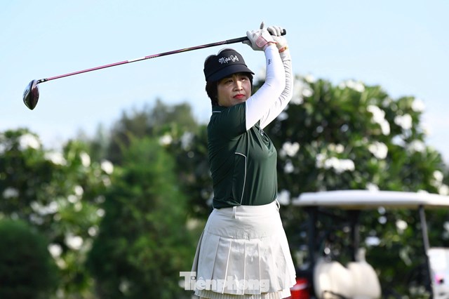 Tạ Thị Dinh