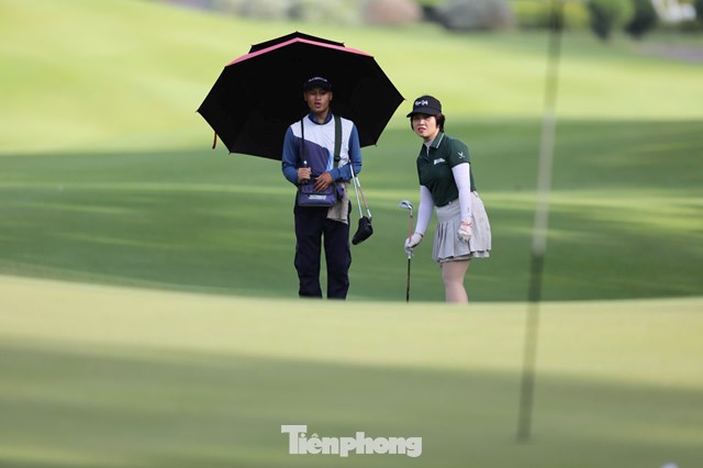Tạ Thị Dinh