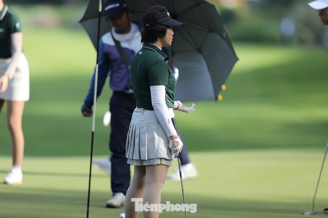 Tạ Thị Dinh