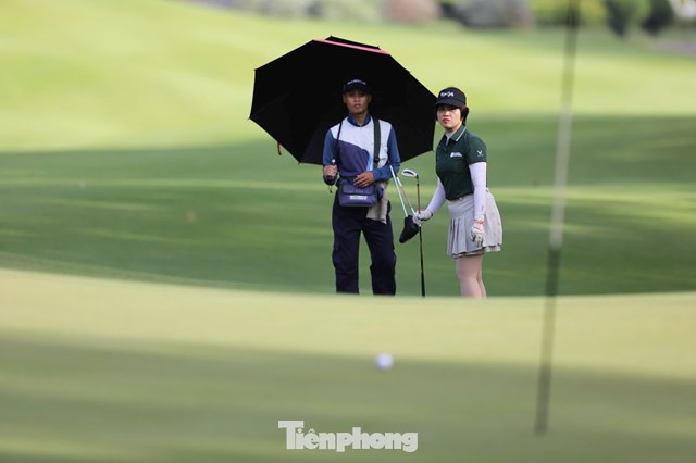 Tạ Thị Dinh