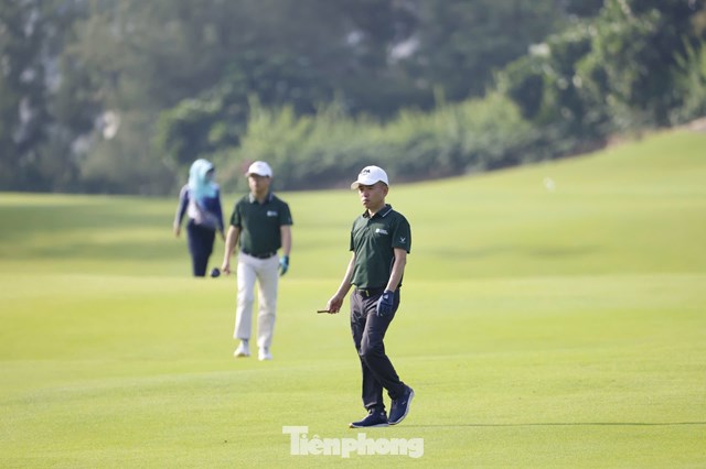 Trần Quang Huy