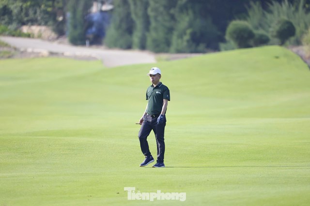 Trần Quang Huy
