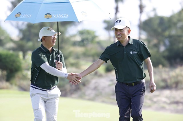 Trần Quang Huy