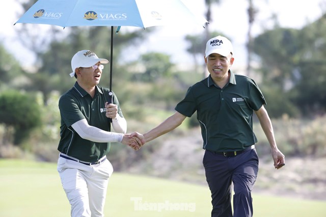 Trần Quang Huy