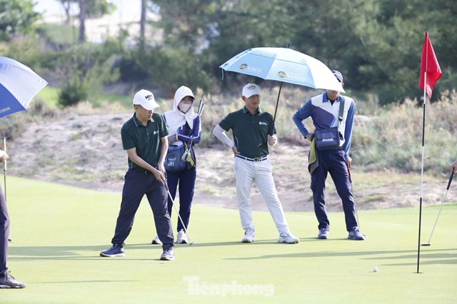 Trần Quang Huy
