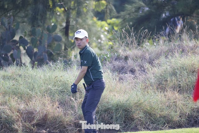 Trần Quang Huy