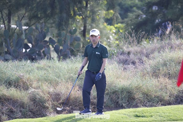 Trần Quang Huy