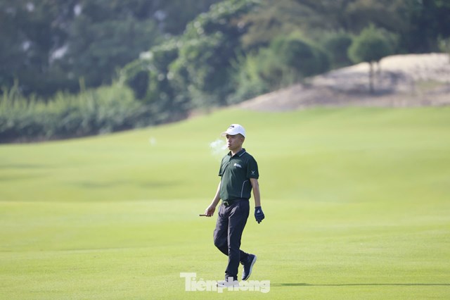 Trần Quang Huy