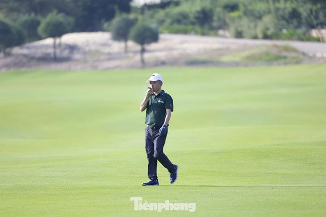 Trần Quang Huy