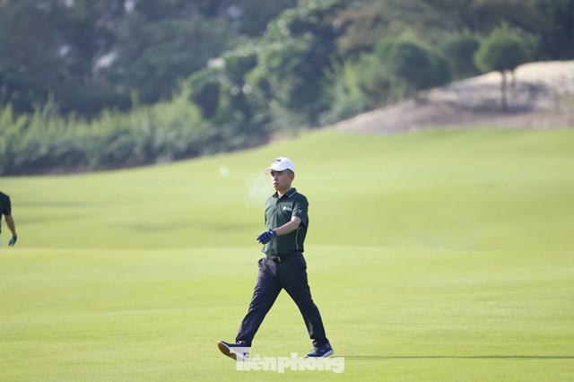 Trần Quang Huy