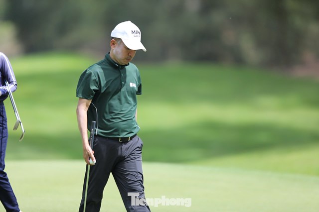 Trần Quang Huy