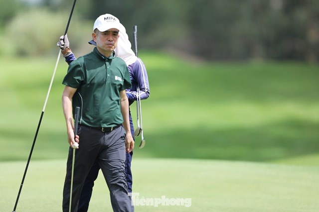 Trần Quang Huy