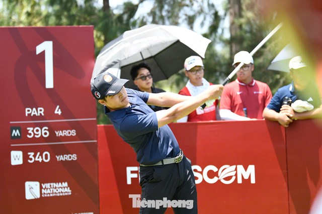Mạc Tuấn Anh