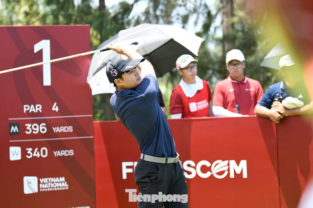 Mạc Tuấn Anh
