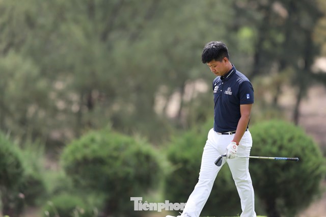Nguyễn Đình Quang