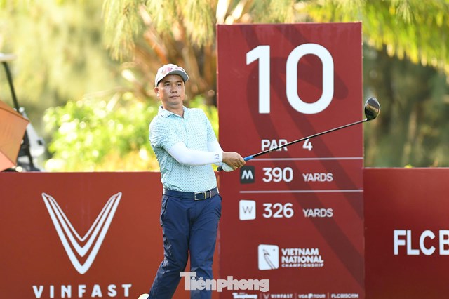 Nguyễn Gia Hồng 