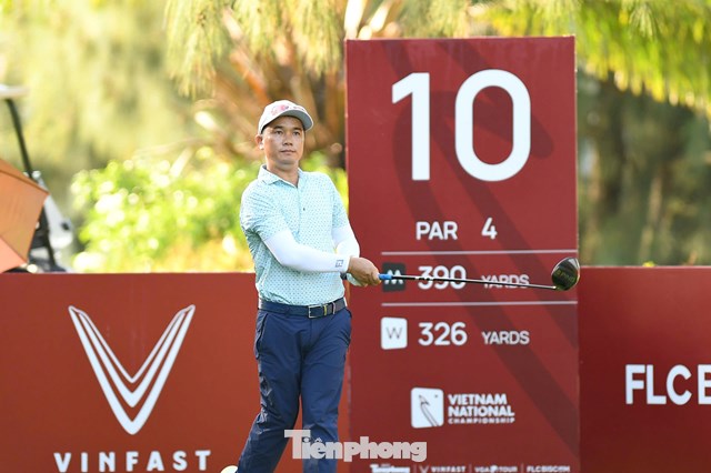 Nguyễn Gia Hồng 