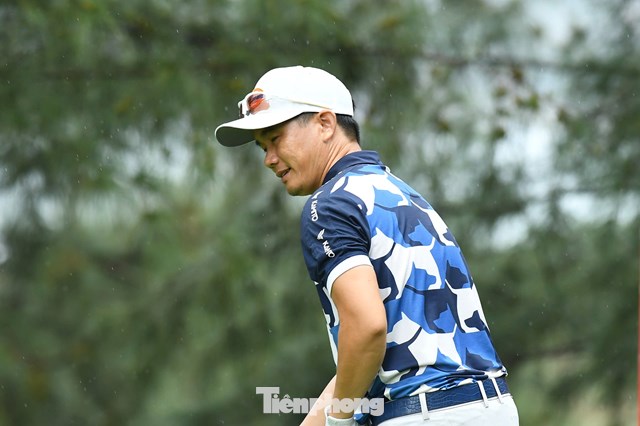 Nguyễn Gia Hồng 
