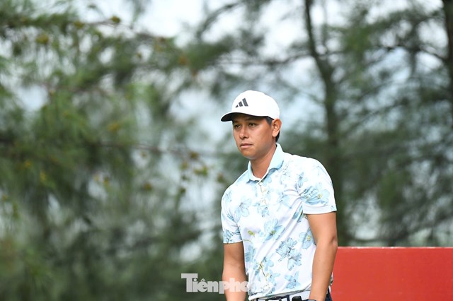 Nguyễn Thanh Hải 