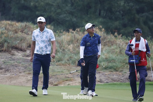 Nguyễn Thanh Hải 