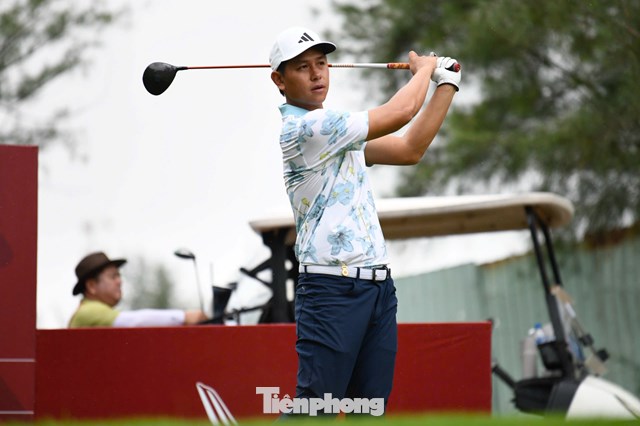 Nguyễn Thanh Hải 