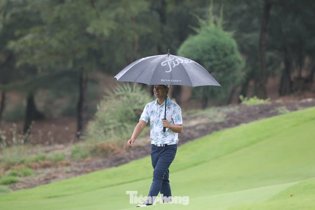 Nguyễn Thanh Hải 
