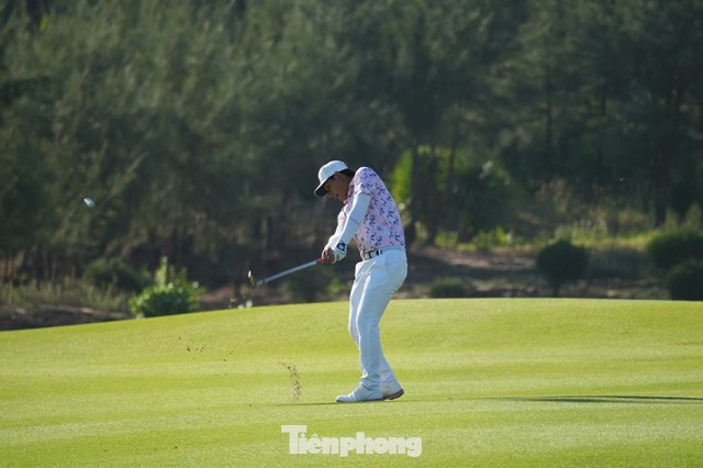 Nguyễn Thanh Hải 