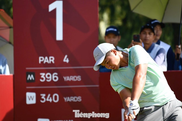 Nguyễn Tuấn Anh